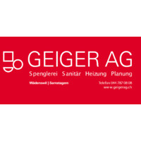 Geiger AG logo - Similar company to Welatec Beratende Ingenieure Ag