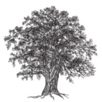 OAKWOOD MANAGEMENT CONSULTING LIMITED logo - Similar company to Marshall Management Consulting Ltd