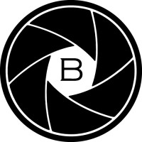 Bear Cinema logo - Similar company to Bol Ict