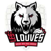 Les Louves Saint-Dié Volleyball logo - Similar company to Mercier-David