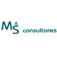 M&S Consultores logo - Similar company to Macroview