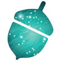 Cybernut Solutions logo - Similar company to Cybernut
