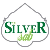 SILVER SAB logo - Similar company to The Silver Spear