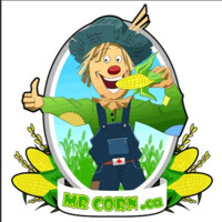Mr.Corn