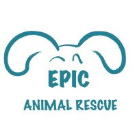 Epic Animal Rescue logo - Similar company to Animal Rescue Veterinary Services