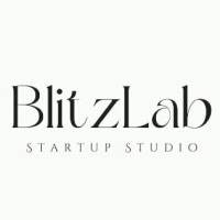 BlitzLab logo - Similar company to Primussoft Pte Ltd