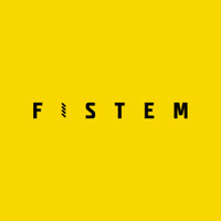 Fistem logo - Similar company to Fistems