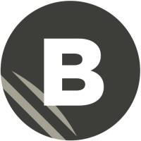 BRODIE logo - Similar company to Salterbaxter
