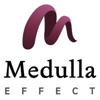 Medulla Effect logo - Similar company to Medullar