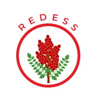 REDESS SRL logo - Similar company to Idelivery I.S.R.L.