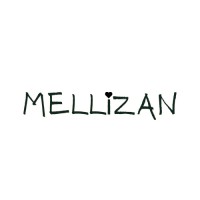 Mellizan logo - Similar company to The Networker Group Ltd