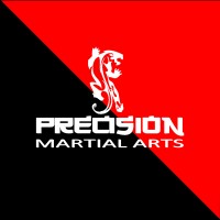 Precision Martial Arts logo - Similar company to True Martial Arts