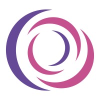 Dreamex Consulting logo - Similar company to Raisev