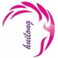 惠龙供应链管理有限公司深圳分公司