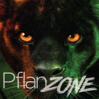 Pflanz Electronics logo - Similar company to Dropcam