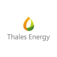 Thales Energy logo - Similar company to Processing Solutions Sarl