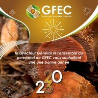 Global Forest Environment Consulting logo - Similar company to S.I.G+