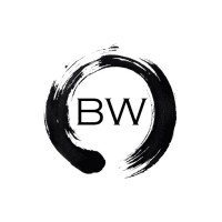 Business Websites, SEO Marketing and Wordpress Sites logo - Similar company to Clever Business Websites