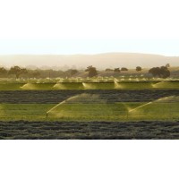 Veysey Farms logo - Similar company to Oasis Farms