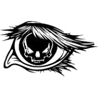 Pir8 Eye Web Solutions, LLC logo - Similar company to Eye Web Solution Pvt.Ltd.
