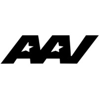 All Americans Vote