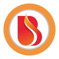 BMW Fin-Invest Pvt. Ltd logo - Similar company to Mexmon Financials