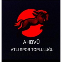 ANKARA HACI BAYRAM VELİ ÜNİVERSİTESİ ATLI SPOR TOPLULUĞU logo - Similar company to Ankara Hacı Bayram Veli Üniversitesi Yönetim Bilişim Sistemleri Topluluğu