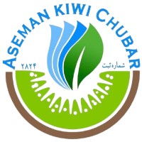 Asemankiwi Trading Company logo - Similar company to Nano Axon