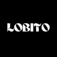 Lobito logo - Similar company to Soyo