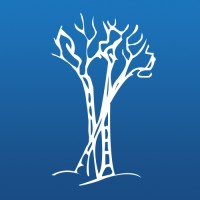 Birchwood Credit Services logo - Similar company to Xactus