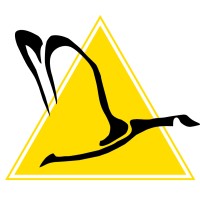 Mobile Team Challenge Ltd (MTC Europe) logo - Similar company to Cooplexity: Praxis Through Uncertainty