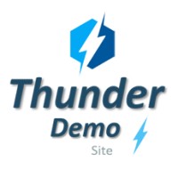 Thunder IT logo - Similar company to Thunder-It Gmbh