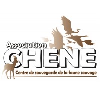 Association CHENE logo - Similar company to Rabbits World