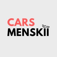 Carsmenskii logo - Similar company to Costify India