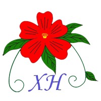 Xin Hai Arts & Crafts Co., Ltd logo - Similar company to Miko Construction Ltd