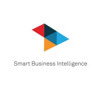 SMART BUSINESS INTELLIGENCE logo - Similar company to Standard Intern