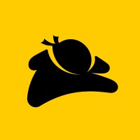 21ninjas logo - Similar company to Twistic Digital