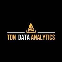TDN Data Analytics and Financial Services logo - Similar company to Data Couch
