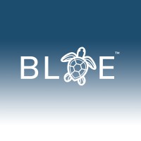 BLUE Spring Water logo - Similar company to Pacific Springs