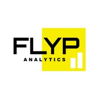 Flyp Analytics logo - Similar company to Netzo