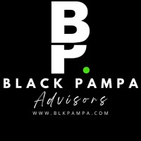Black Pampa logo - Similar company to Smartvision Latin America
