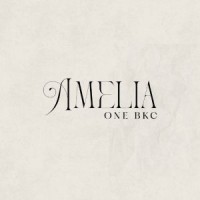 Amelia logo - Similar company to Staffex Consultancy