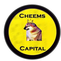 CheemsCapital logo - Similar company to Cheemstech
