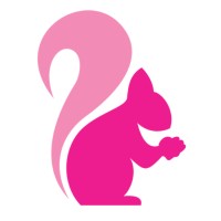 Pink Squirrel Media logo - Similar company to Pinksquirrel Gmbh - Communication Ideas