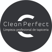 CLEAN PERFECT logo - Similar company to Acudesign