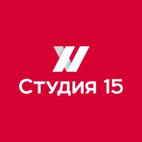 Studio 15 Tomsk logo - Similar company to Foryou Inc. -  All For Your Beauty And Skin Care Routine