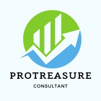 PROTREASURE CONSULTANT logo - Similar company to Nimbledesk