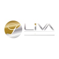 Liva Consultancy logo - Similar company to Ader Danışmanlık