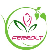Dongguan Ferroly Arts and Crafts Co. Ltd logo - Similar company to Vuez