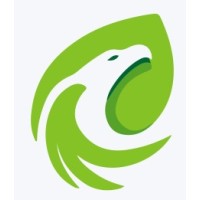Green Eagle Consulting logo - Similar company to X-Plan